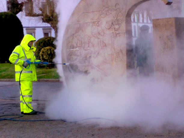 Best Affordable Pressure Washing  in Perryville, MO